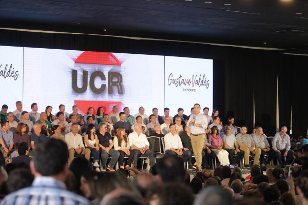 INTERNAS! Valdés no se achica y va por la presidencia de la UCR