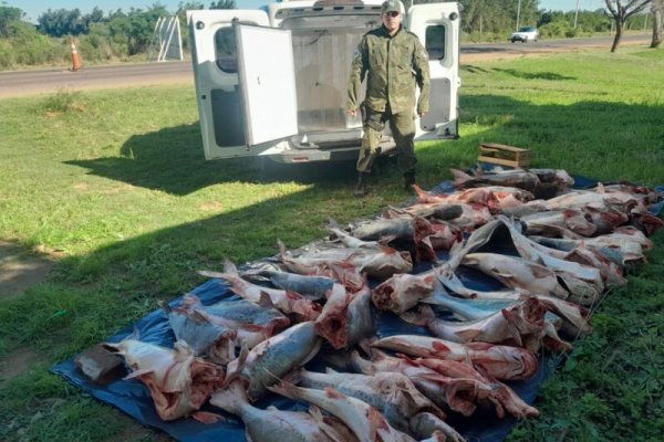 trasladaba casi media tonelada de pescados