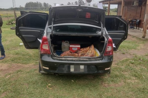 ROBO CATÉ! En un Renault Logan tenían 200 kilos de carne bovina