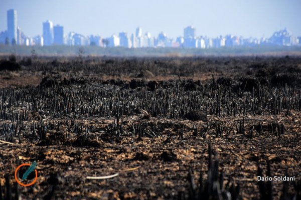 Alertan que el desfinanciamiento de la protección de los bosques pone en riesgo el control de los desmontes ilegales e incendios forestales