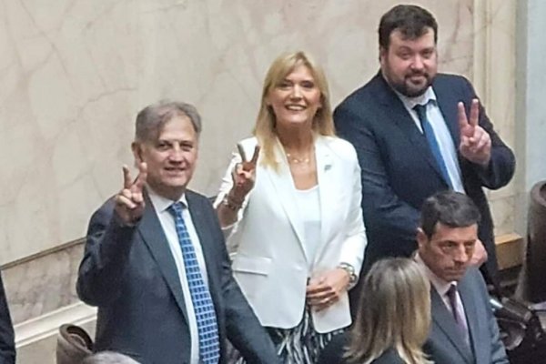 UNIVERSIDADES! Diputados Nacionales del PJ Corrientes en contra del veto de Milei