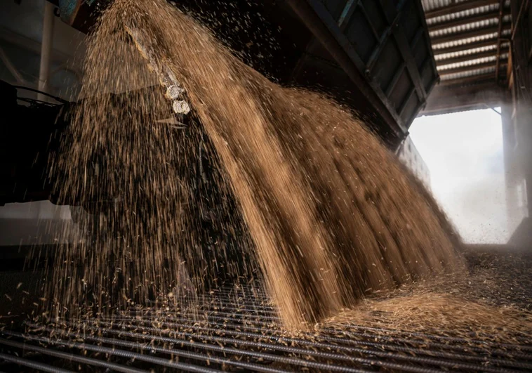 Ucrania acusa a Rusia de robar más de 180.000 toneladas de grano a través del puerto de Mariúpol