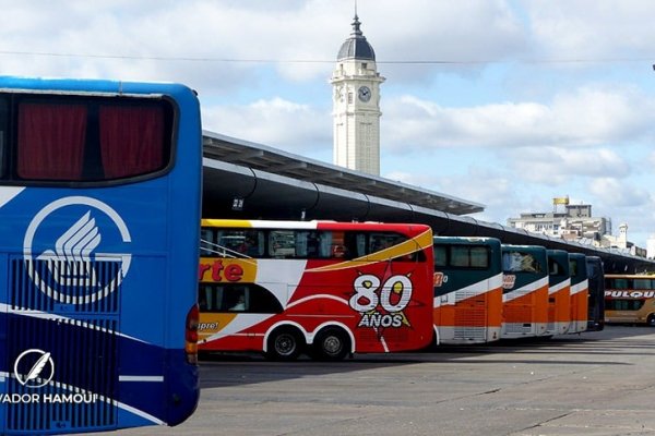 Desregulación del transporte: advierten que podría desconectar pueblos y fomentar monopolios