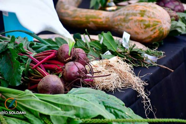 Desarrollarán una jornada sobre alimentación en el Fontanarrosa