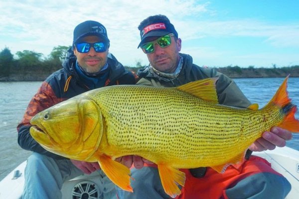 PESCA ASEGURADA! Abundancia de dorados a la altura de Esquina