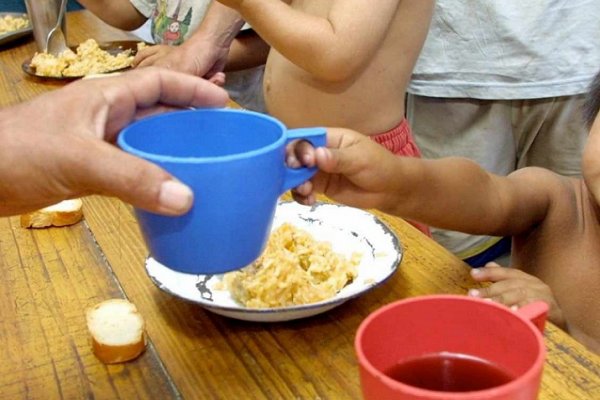 Malnutrición infantil en el NEA: agronegocios y dinámica familiar en el foco del problema