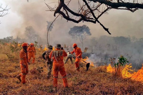 Casi 10 millones de hectáreas quemadas conforman el peor desastre ambiental en Bolivia