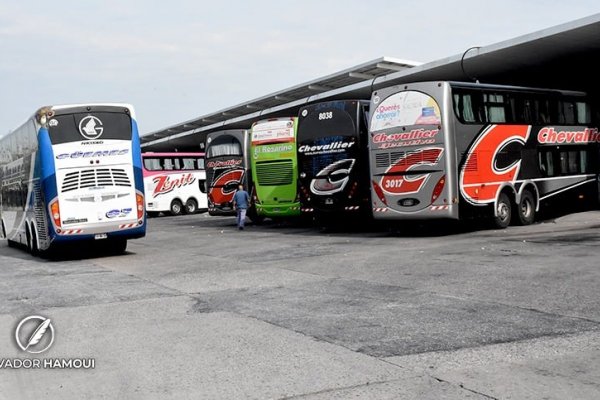 Desregulación del transporte: los pasajes para personas con discapacidad seguirán siendo gratuitos