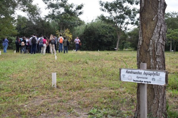 El Arboretum de la UNNE: un modelo de bosque urbano presentado en congreso nacional