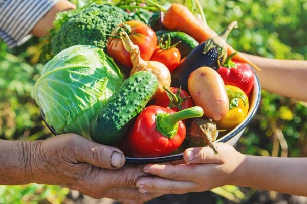 16 de Octubre: Día Mundial de la Alimentación