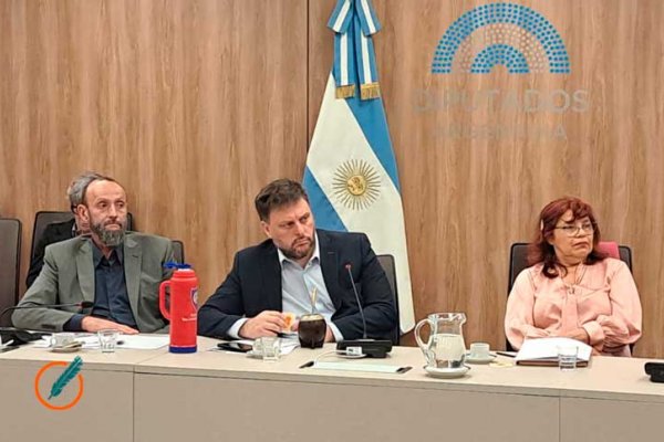 Las partidas asignadas por el presupuesto 2025 para vivienda cayó dramaticamente