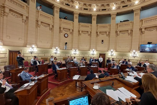 El cierre de Dow encontró eco en la Legislatura santafesina