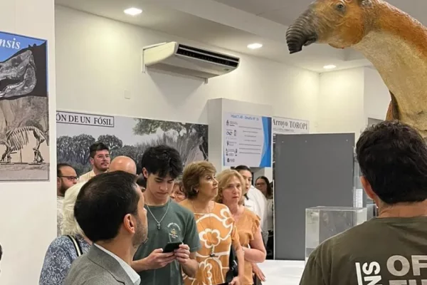 El Museo de Ciencias Naturales Amado Bonpland habilitó el sector de paleontología