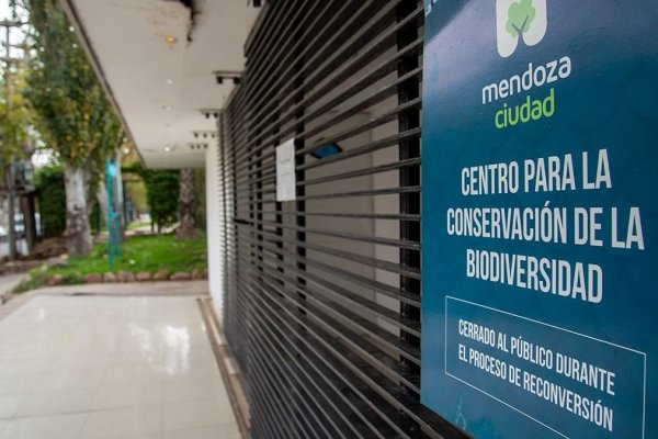 BUENA NOTICIA! El yacaré que queda en el ex Acuario de Mendoza será trasladado a Corrientes