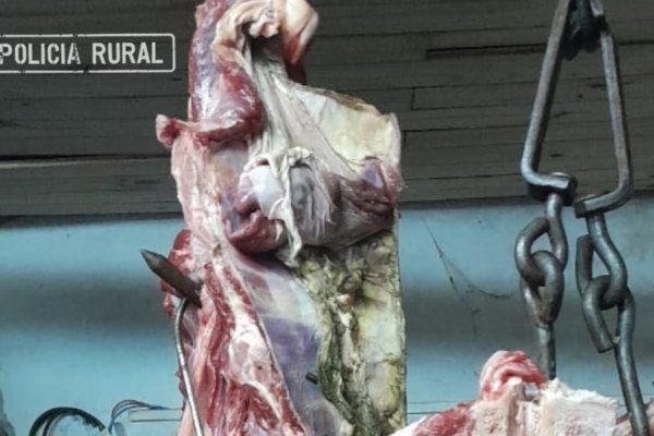 CARNE VERDE! Imágenes del secuestro de 270 kilos en Virasoro