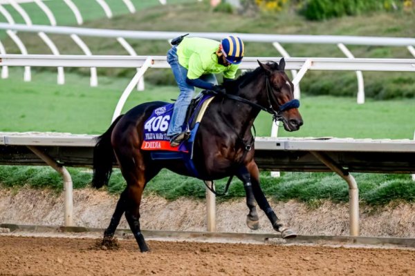 Breeders’ Cup: una representación argentina inédita, el correntino que marca un hito y la carrera que invita a romper maleficios