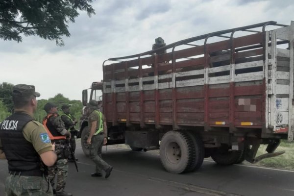 INSEGURIDAD! Otro robo de ganados en el centro de la provincia