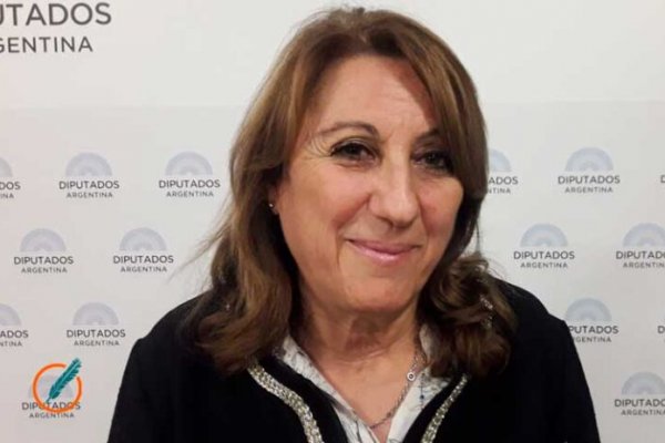 A la Justicia: Fein denunció que fue incluida en un sitio web que “aparenta ser una estafa piramidal”