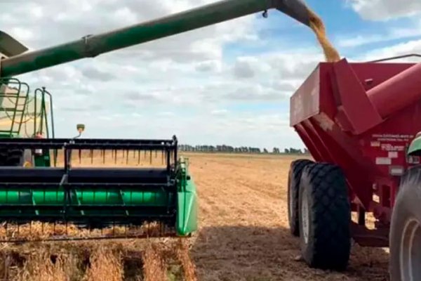 Giacomini: «Tormenta perfecta sobre el campo con caída de precios, suba de costos en US$ y carry trade»