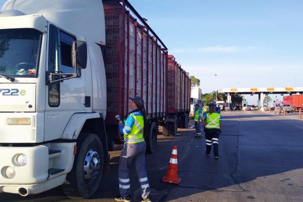 Sancionaron a un camionero que circulaba por la ruta 9 alcoholizado