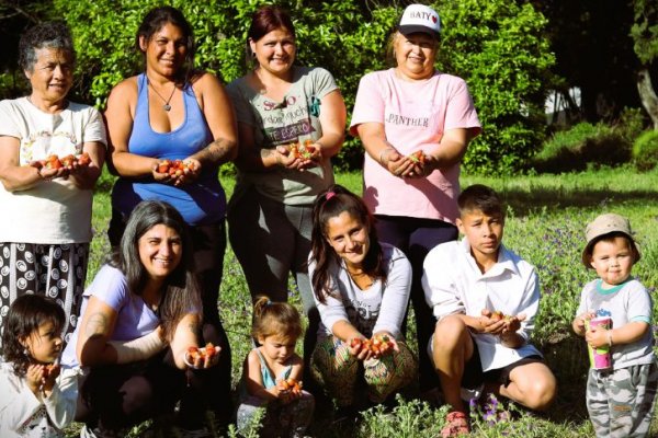 Primera cosecha de frutilla sin agrotóxicos en el Polo Agrario Campesino EPAS de Desvío Arijón