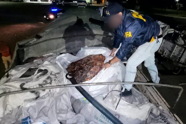 IMPACTANTE! La Policía Federal secuestró en Corrientes casi 50 toneladas de cobre valuadas en 420 millones