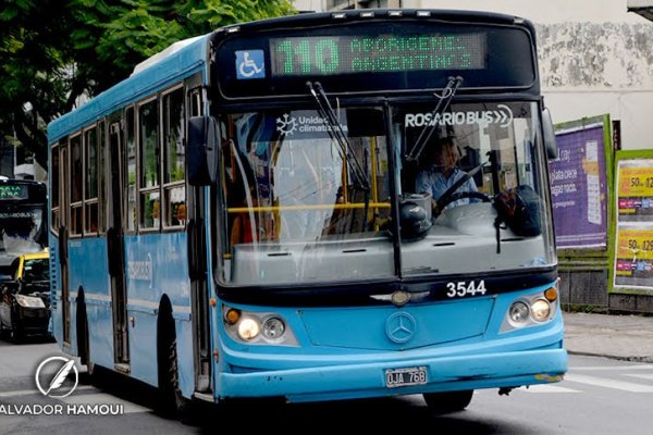 Más de 20 líneas de colectivos llegarán hasta las puertas de la Fiesta de Colectividades