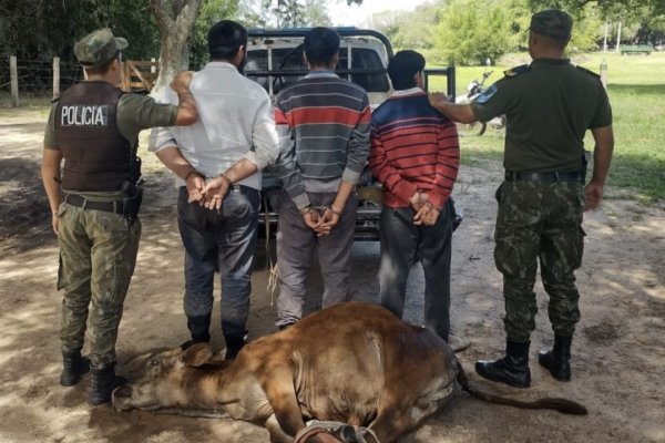 LADRONES! Tres personas detenidas por abigeato