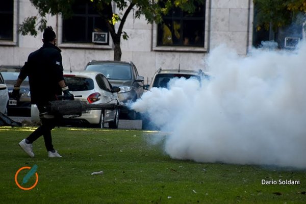 Continúan con las fumigaciones en parques y refuerzan en el predio de colectividades