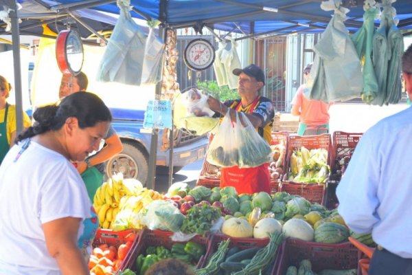 Ferias de la ciudad: hoy, en Plaza Torrent