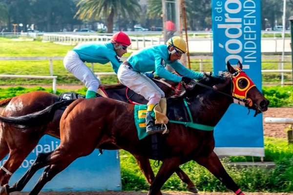 Contra la crueldad animal: piden la reconversión del hipódromo y que se suspendan las carreras de caballos