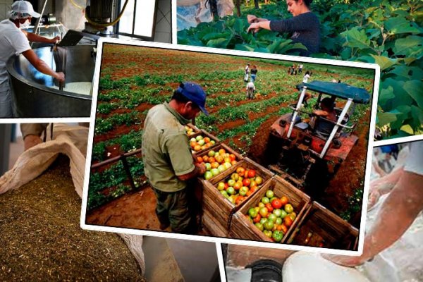 Rosario es sede de un Encuentro en defensa del alimento argentino: «Hay que discutir qué tipo de país queremos»