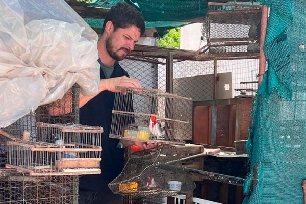 Zona sur: se rescataron más de 70 aves silvestres tras las denuncias de vecinos