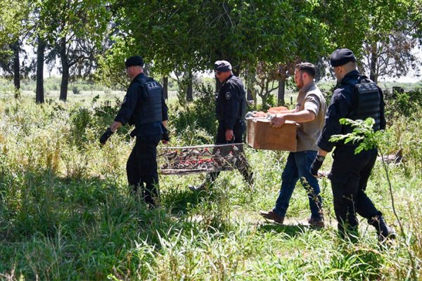 Endurecieron las multas contra la caza y el comercio ilegal de fauna silvestre