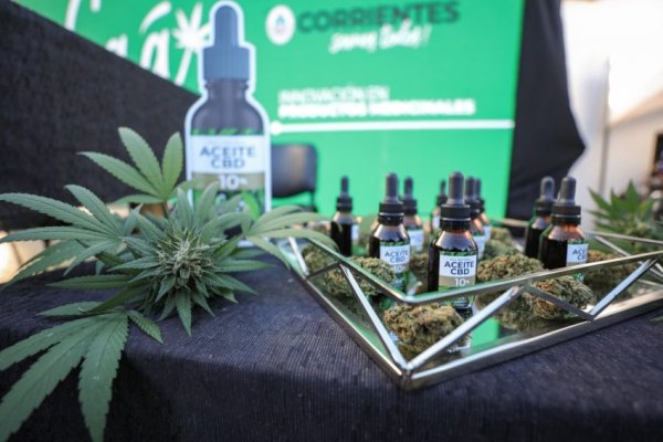 Caá Cannabis realiza la primera Jornada de Puertas Abiertas