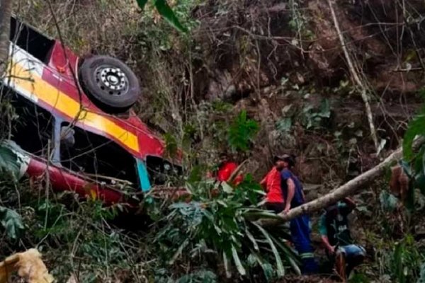 Tragedia en Brasil: al menos 17 muertos al caer un autobús a un precipicio