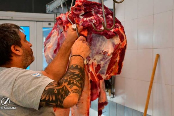 La carne vacuna aumentó alrededor del 5% y el sector advierte que no ven chances de recuperación