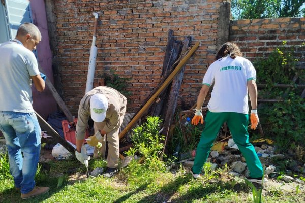 Dengue: por las lluvias Salud Pública lanzó una alerta y dijo que hay interbrote