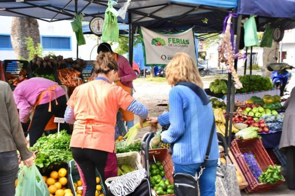 Los feriantes estarán hoy en Plaza Torrent