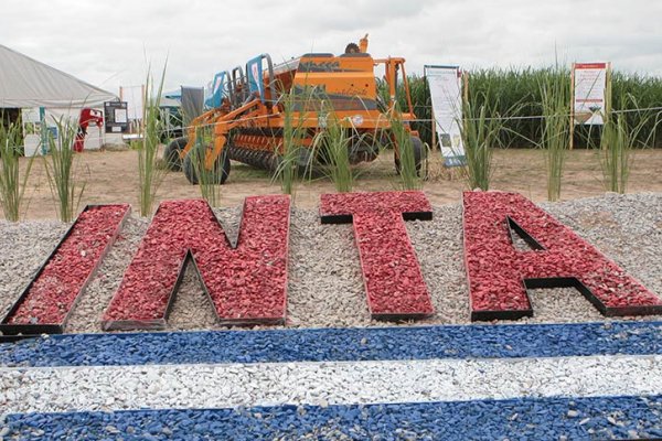 Motosierra en el INTA: con venta de edificios y tierras, el Gobierno anunció la «modernización» del organismo