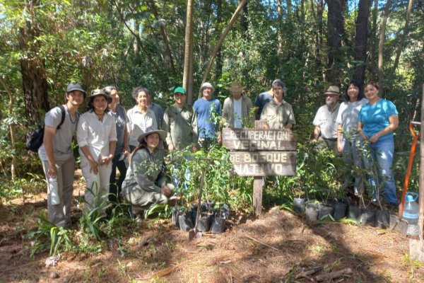 EXPERIENCIA AMBIENTAL! Plantan 200 árboles autóctonos en Santa Ana Corrientes