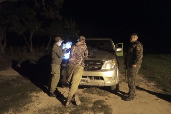 CONTROL! Seis Ciervos y fusil en una camioneta detenida por la policía