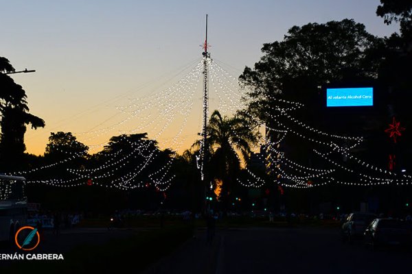 Se viene el tradicional encendido del arbolito de Navidad