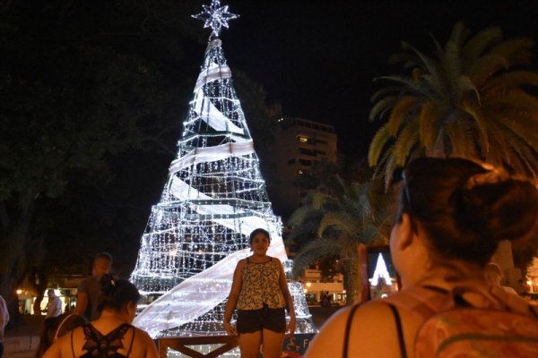 Árboles listos para que la familia comience a sentir la llegada de la Navidad