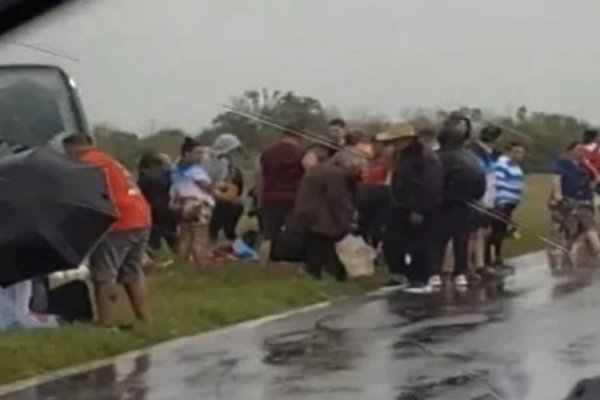 DESPISTE Y VUELCO! Imágenes del colectivo con pasajeros en Ruta Nacional 12 Corrientes