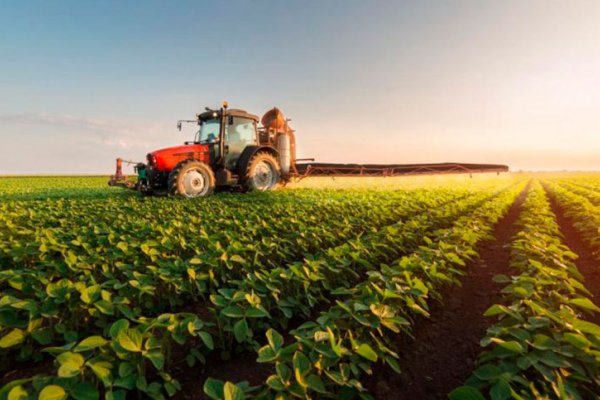 Las exportaciones agroindustriales aumentaron en un 51 % en lo que va del año