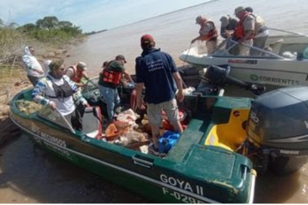 FAUNA! Para que se cumpla la veda pesquera, refuerzan los controles náuticos entre Santa Fe y Corrientes