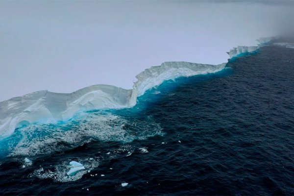 El iceberg más grande del mundo se mueve a la deriva por el mar: podría llegar a islas cercanas a Argentina