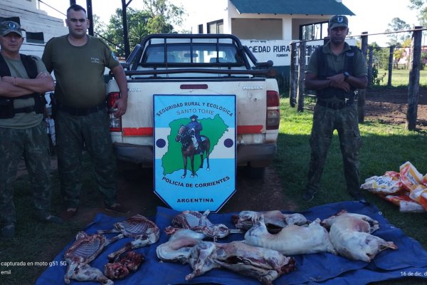 Santo Tomé: dos hombres detenidos por llevar seis corderos faenados sin documentación