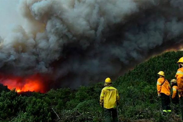 Incendios forestales en Bariloche: más de 1500 hectáreas consumidas por el fuego